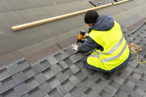 Best Roof Gutter Cleaning  in Desoto, TX