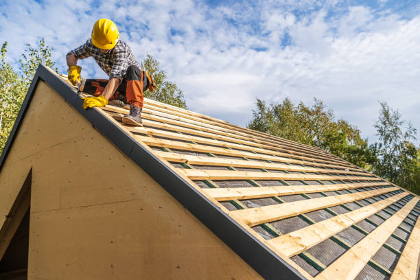 Best Roof Gutter Cleaning  in Desoto, TX