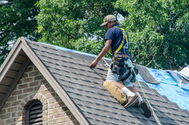 Best Roof Gutter Cleaning  in Desoto, TX